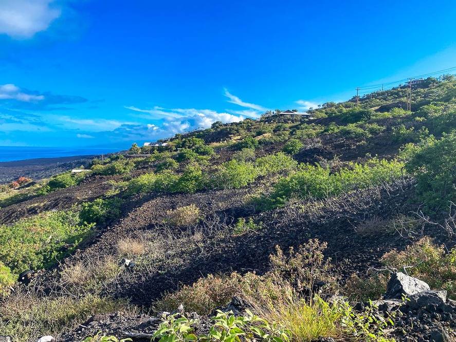 MILOLII RD Land for Sale in CAPTAIN COOK 709750 Hawaii Life