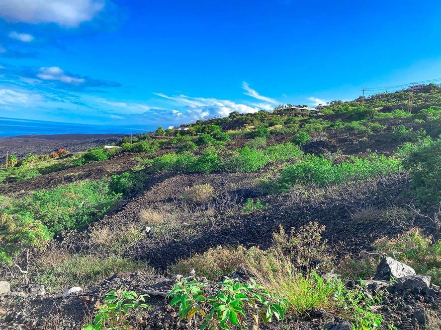 MILOLII RD Land for Sale in CAPTAIN COOK 709750 Hawaii Life