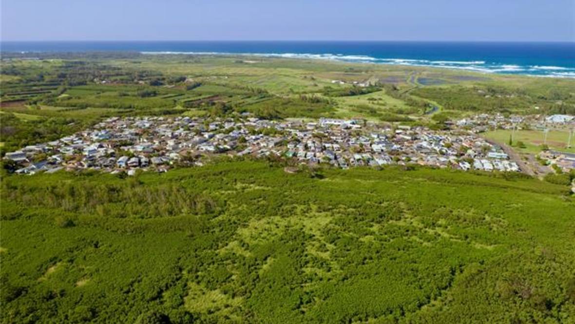 000 Pualalea Street 5 Land for Sale in Kahuku 202401608 Hawaii Life