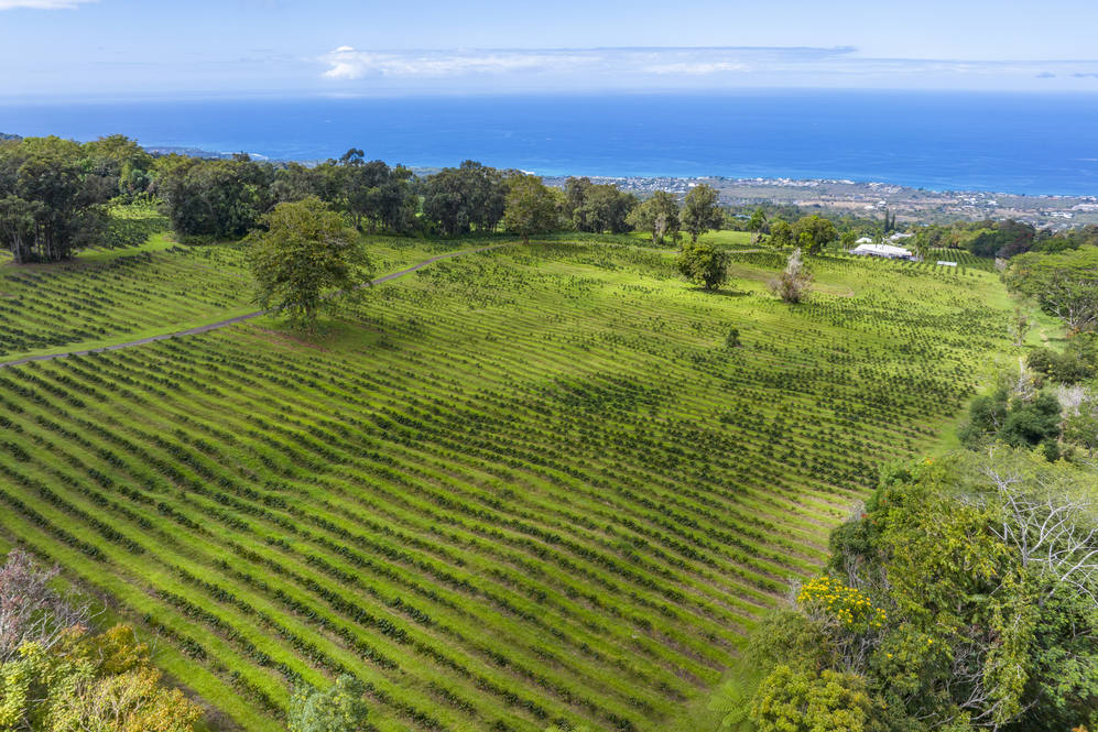 755691 MAMALAHOA HWY Land for Sale in HOLUALOA 708422 Carrie