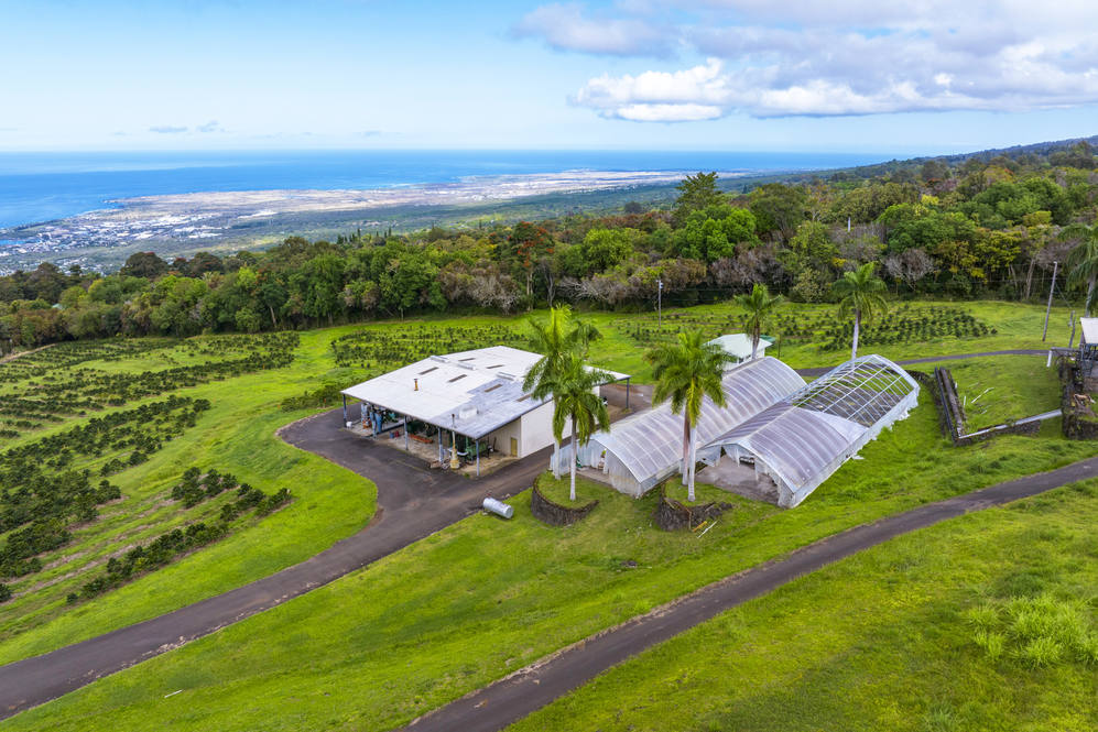 755691 MAMALAHOA HWY Land for Sale in HOLUALOA 708422 Carrie