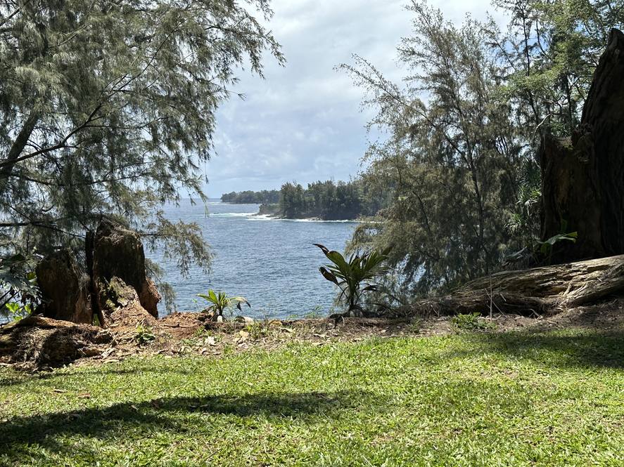 293792 Hawaii Belt Road Land for Sale in Hakalau 708329 Hawaii Life