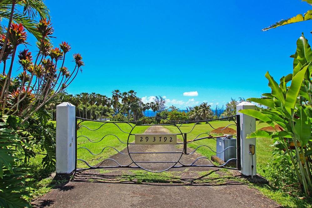 293792 Hawaii Belt Road Land for Sale in Hakalau 708329 Hawaii Life