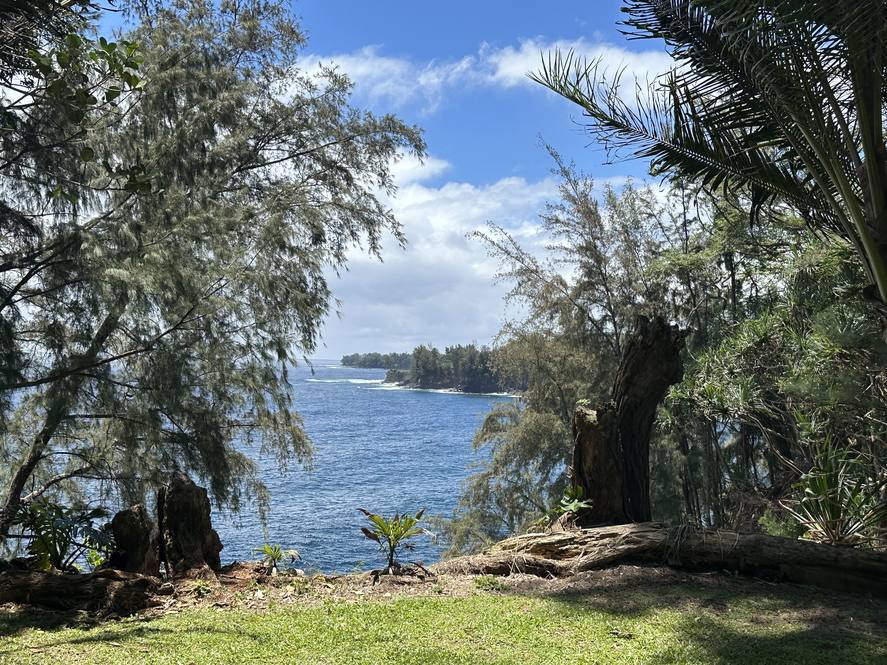 293792 Hawaii Belt Road Land for Sale in Hakalau 708329 Hawaii Life