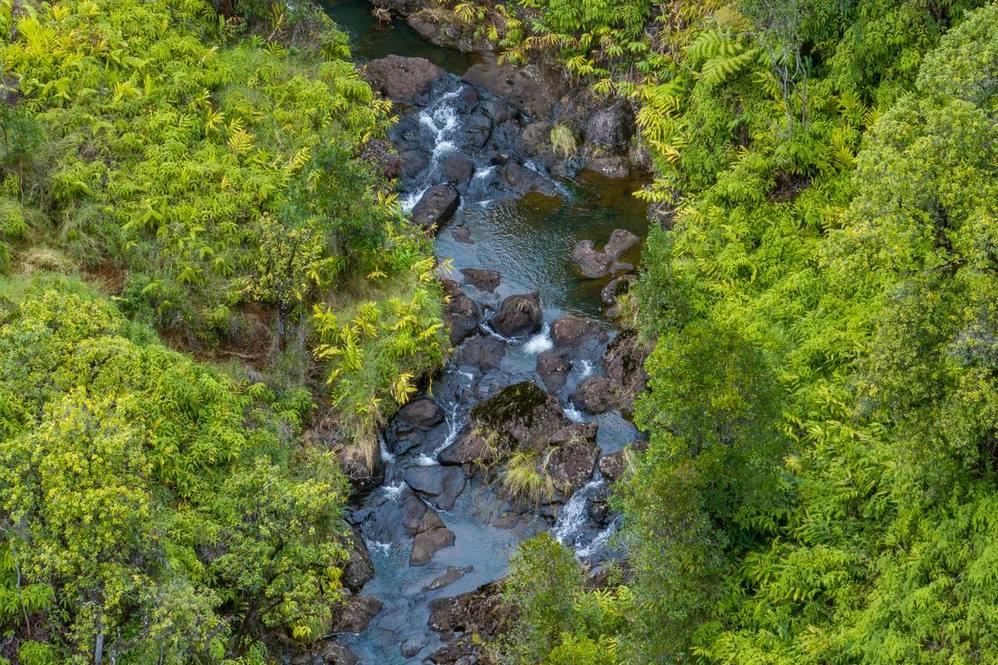 3158 KAIWIKI RD Land for Sale in HILO 706846 Hawaii Life