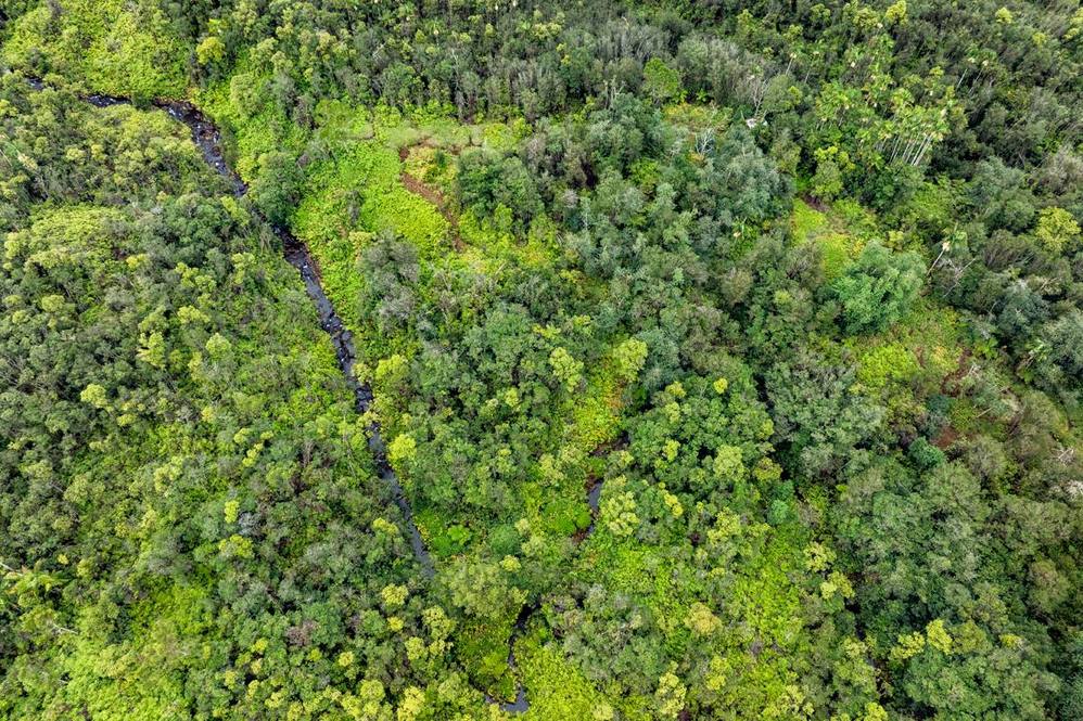 3158 KAIWIKI RD Land for Sale in HILO 706846 Hawaii Life