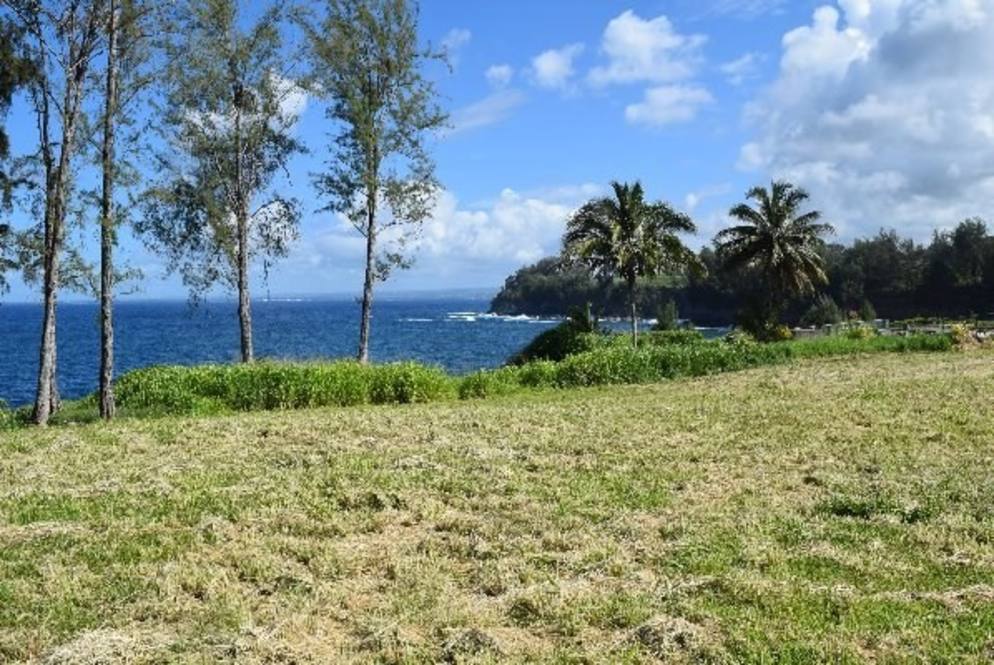 Land for Sale in Pepeekeo 710588 Hawaii Life
