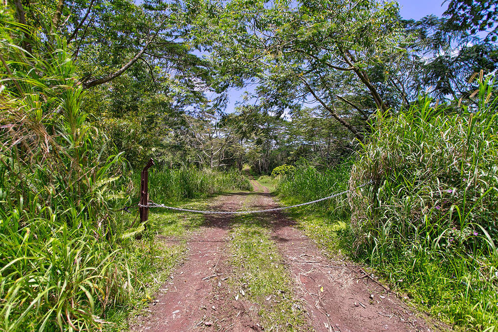 PAHOA KALAPANA RD Land for Sale in PAHOA 710714 Hawaii Life