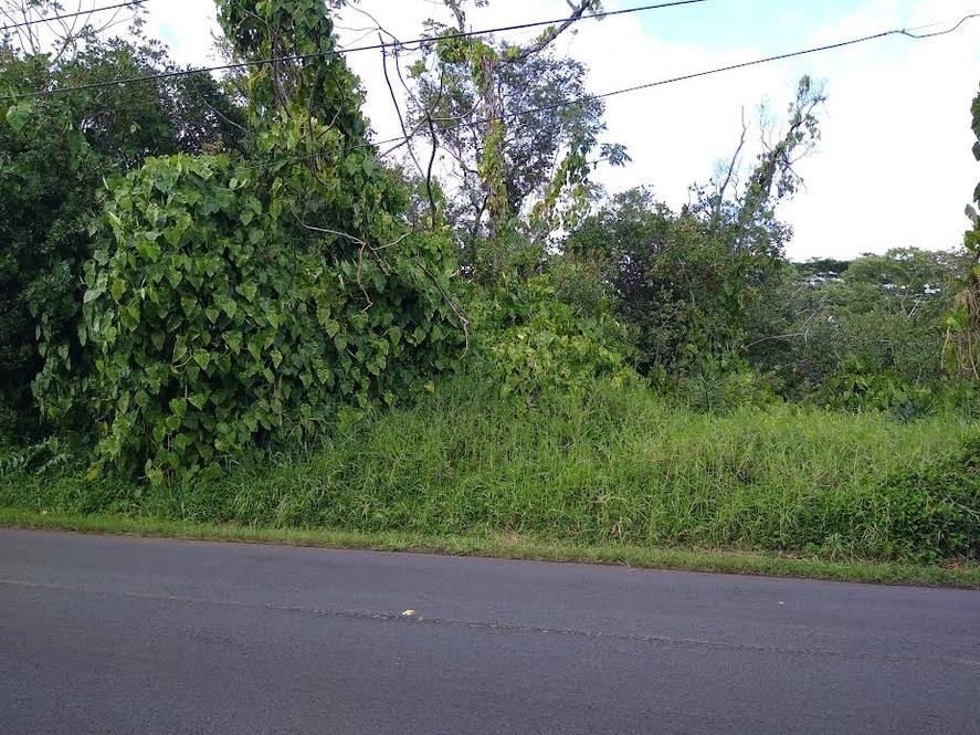 POHAKU CIRCLE Land for Sale in KEAAU 710431 Hawaii Life
