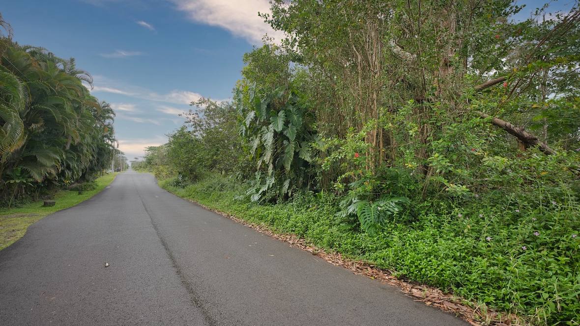 151326 24TH AVE Land for Sale in KEAAU 711345 Hawaii Life