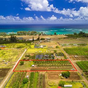 Kyle Bernhardt | Hawaii Life | Real Estate Professional