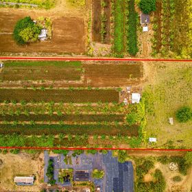 Kyle Bernhardt | Hawaii Life | Real Estate Professional