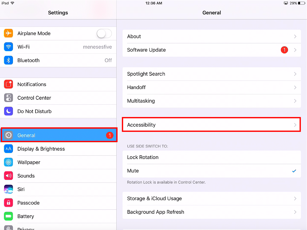 Enabling Guided Access on the iPad