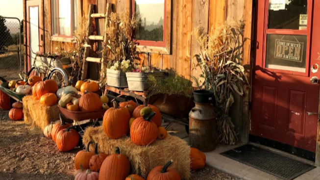 Nature Hills Harvest Fest