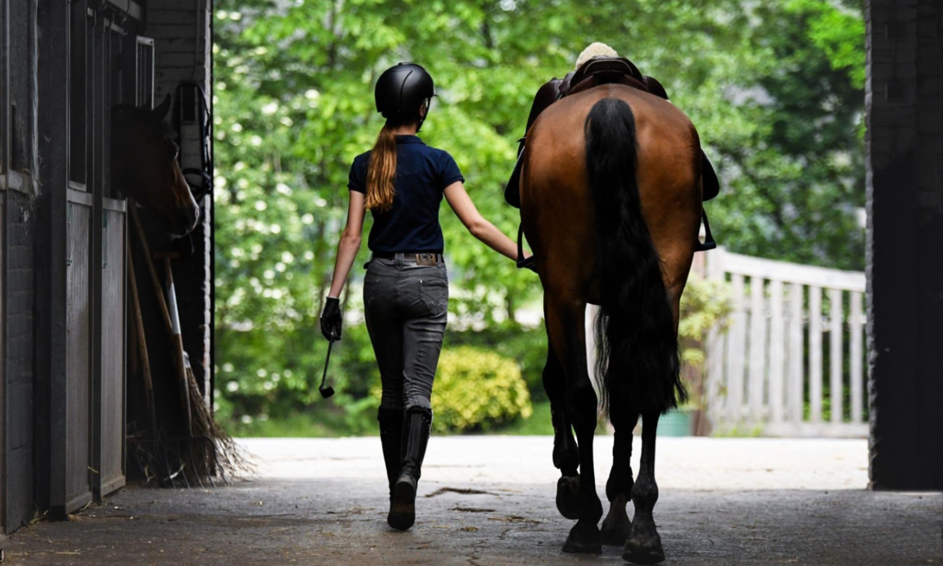 Exploring the Derby: A Beginner's Guide to the Equestrian Lifestyle