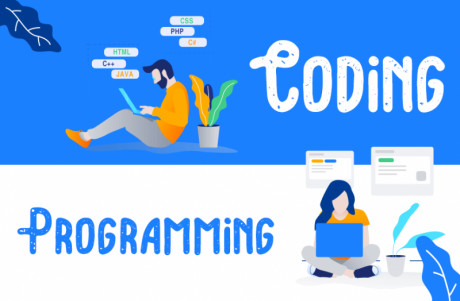 Coding Games From Beginner to Professional Level | RoboGarden
