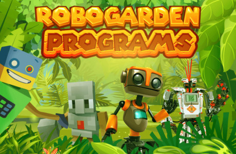 Coding Games From Beginner to Professional Level | RoboGarden