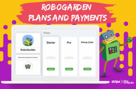 Coding Games From Beginner to Professional Level | RoboGarden