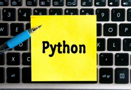 Coding Games From Beginner to Professional Level | RoboGarden