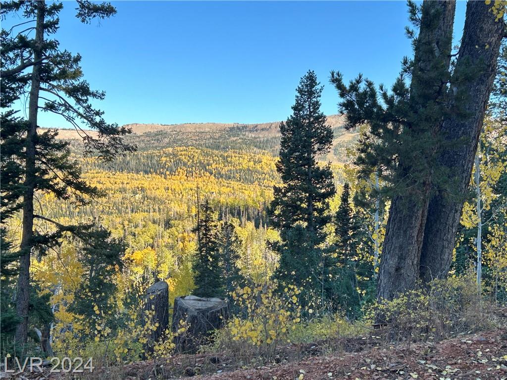 660 Ski View DR
