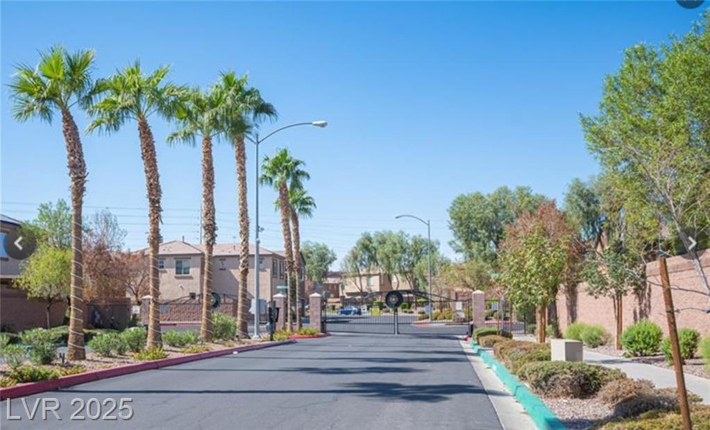 690 Calamus Palm PL