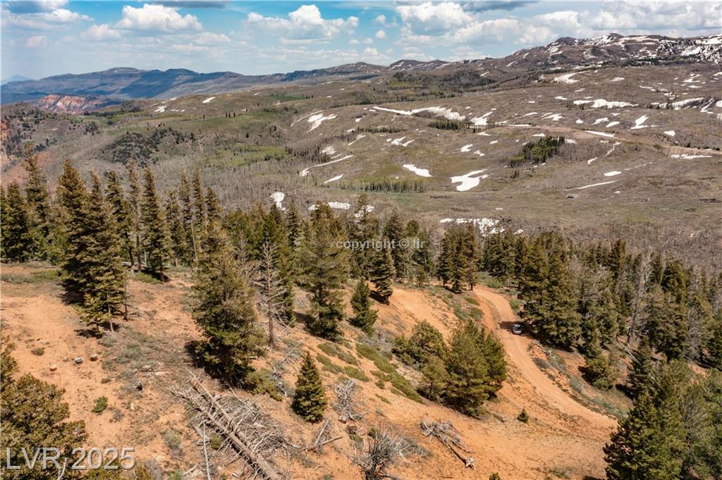 950 Yankee Lookout 
