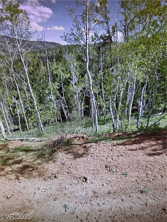 524 Ski View DR