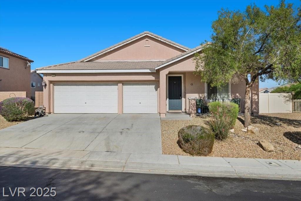 4308 Brazil Palm CT