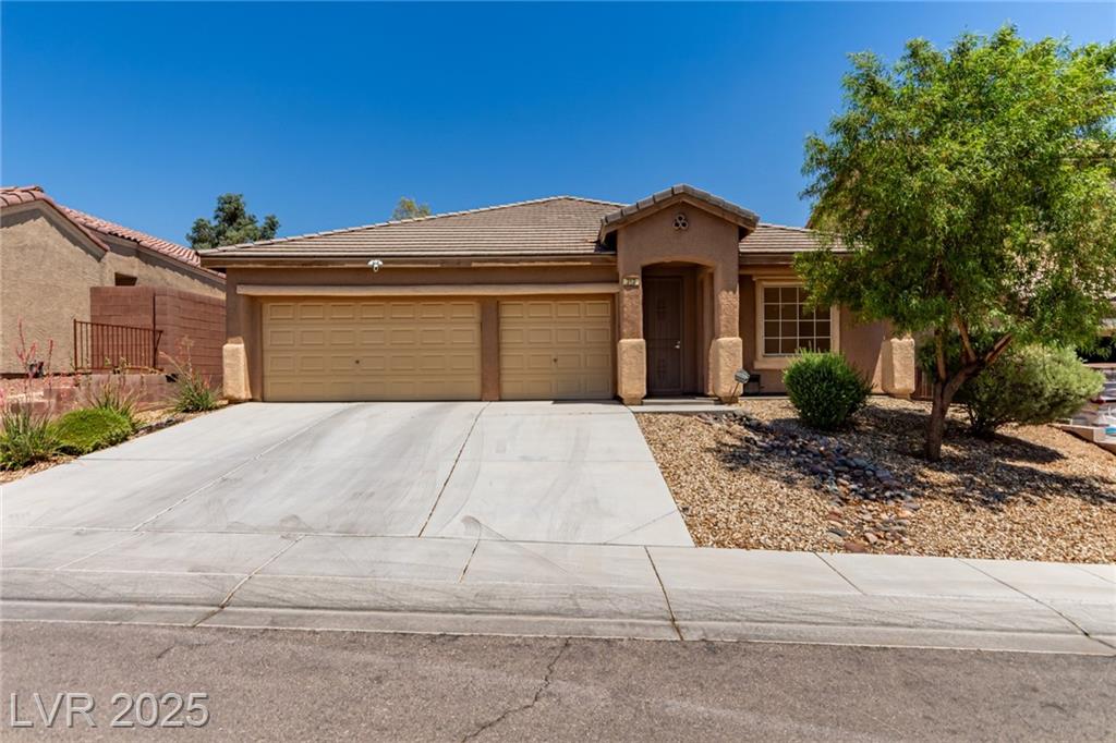 312 Purple Passion AVE