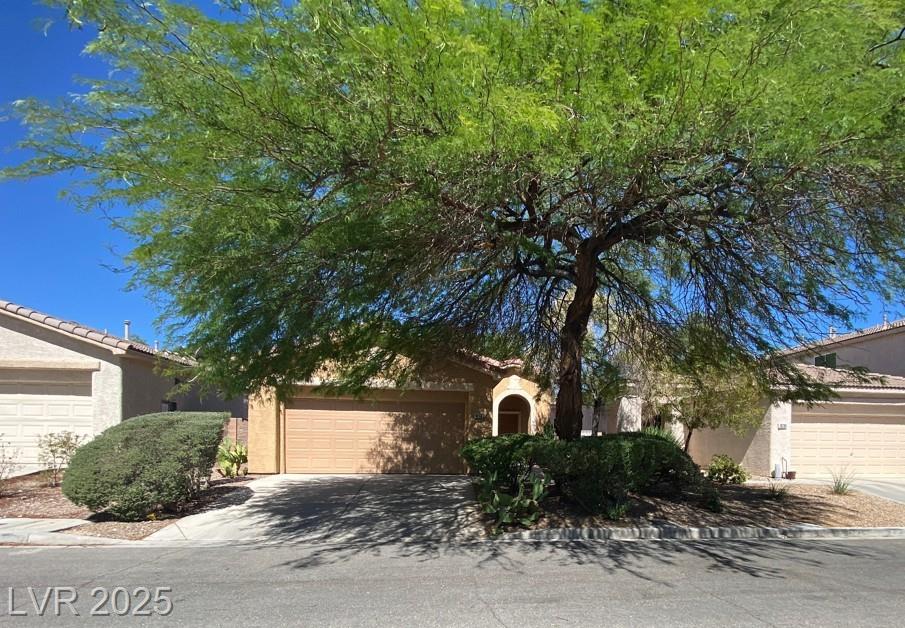 10789 Muscari WAY