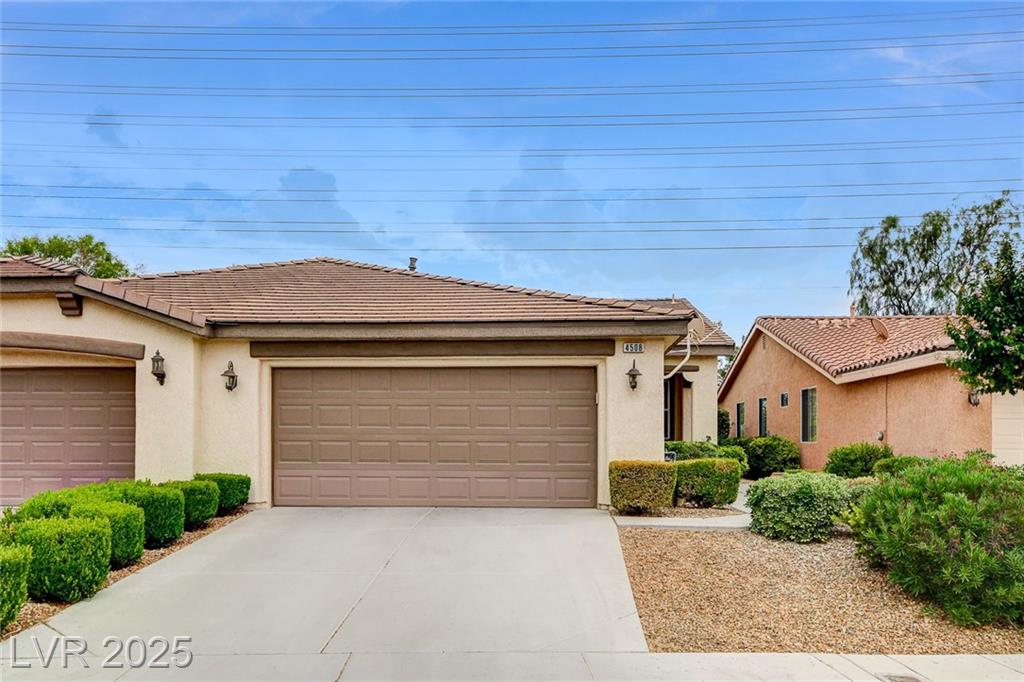 4508 Regalo Bello ST