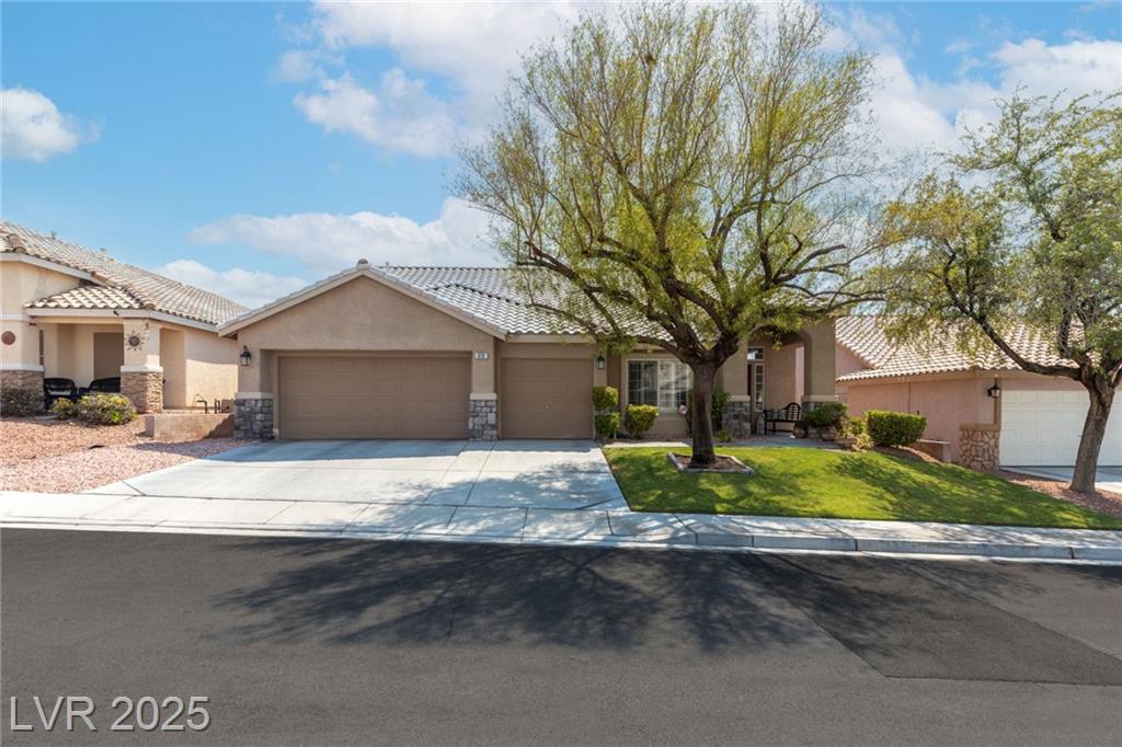 679 Great Dane CT