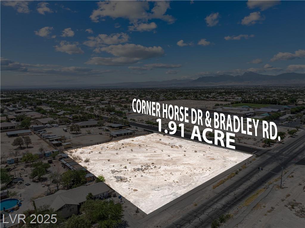  Horse & Bradley 