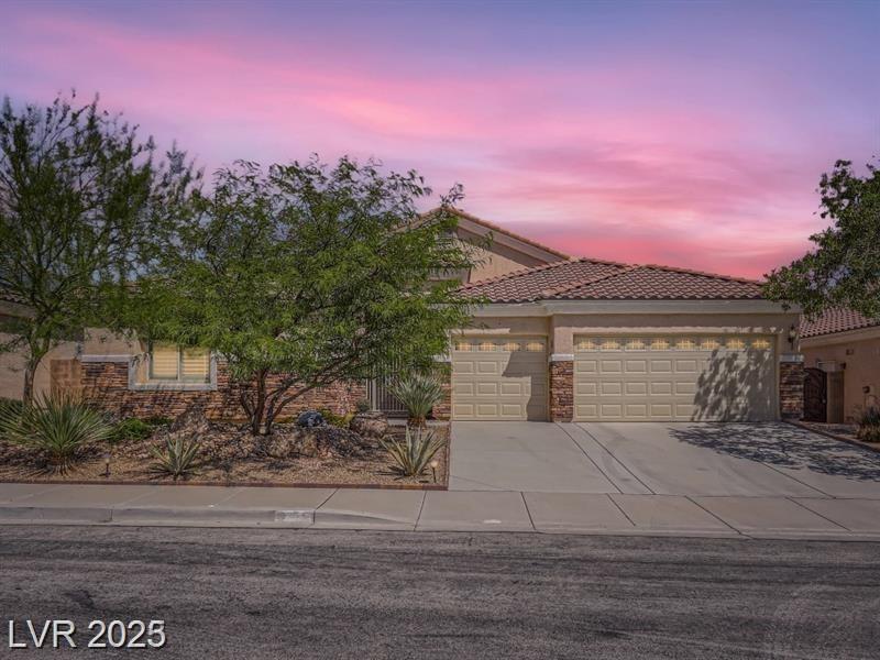 9320 Column Cactus ST
