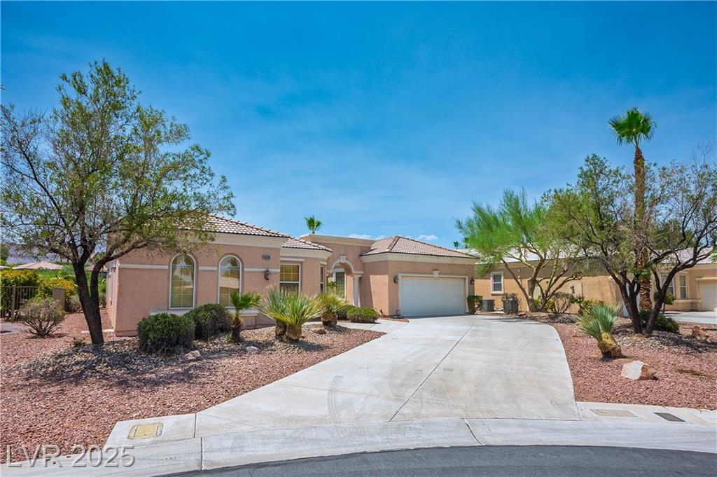 10248 Andante CT