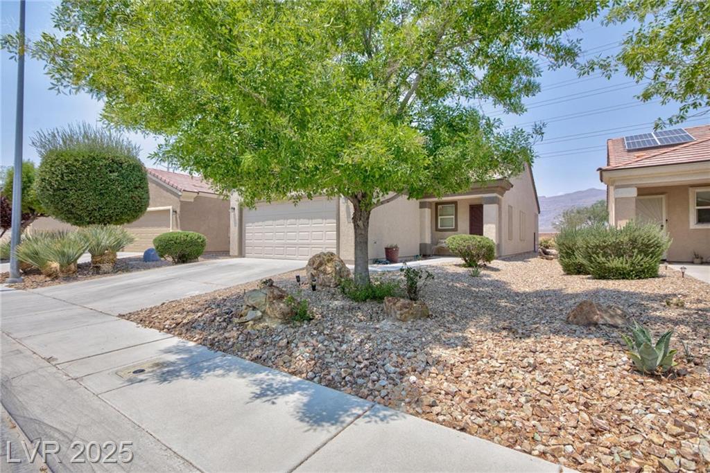 2320 Willow Wren DR
