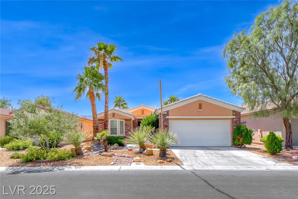 4615 Regalo Bello ST