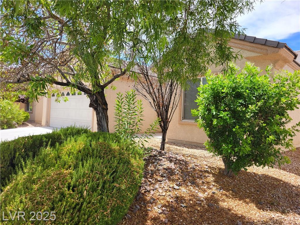 7429 Widewing DR