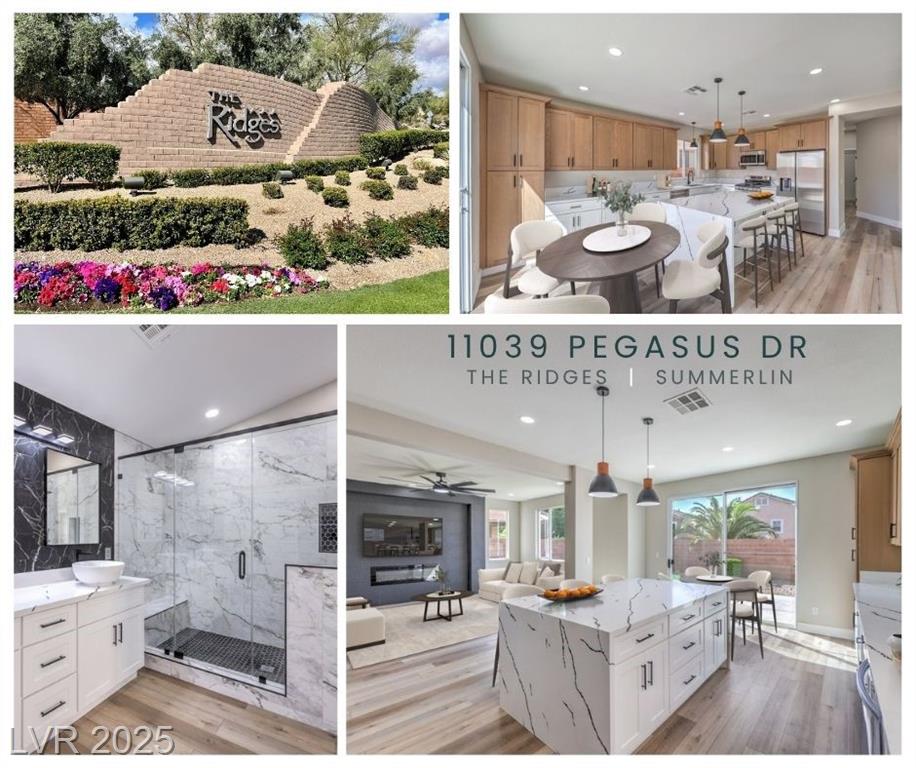 11039 PEGASUS DR