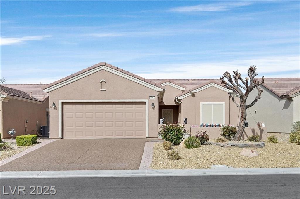 7741 Fruit Dove ST