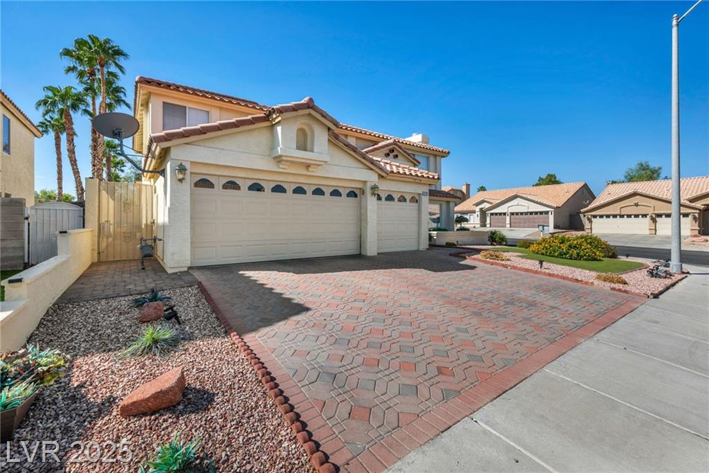 2707 Fan Palm CT