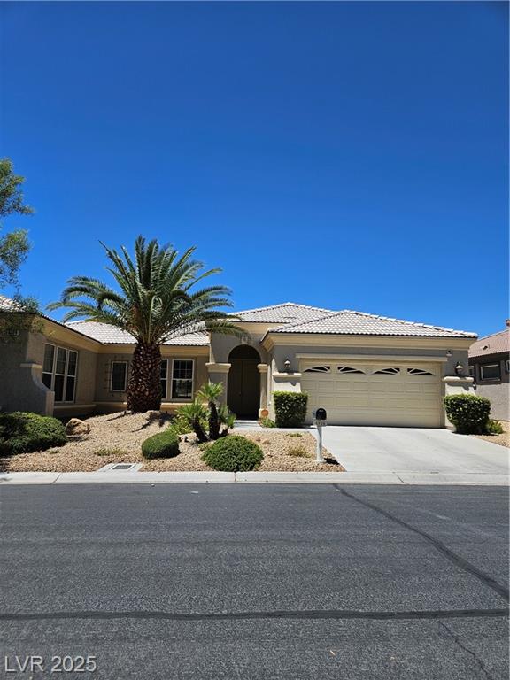 4729 Regalo Bello ST