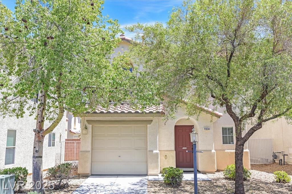 11934 Wild Chamomile ST
