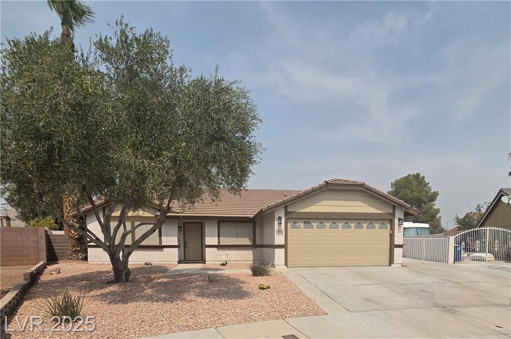 1816 Mazzanti WAY