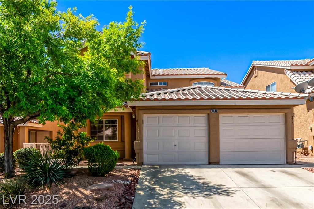 8041 Astrology CT