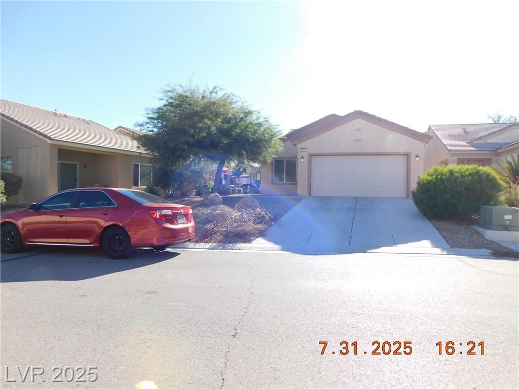 7937 Golden Warbler ST