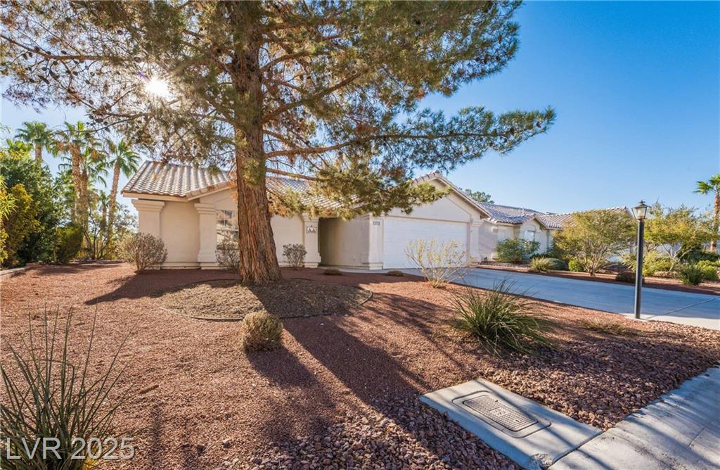 5516 HONEY MESQUITE LN