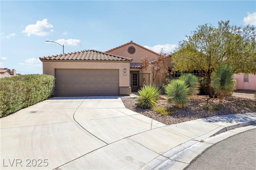 3540 Bronco Buster CT