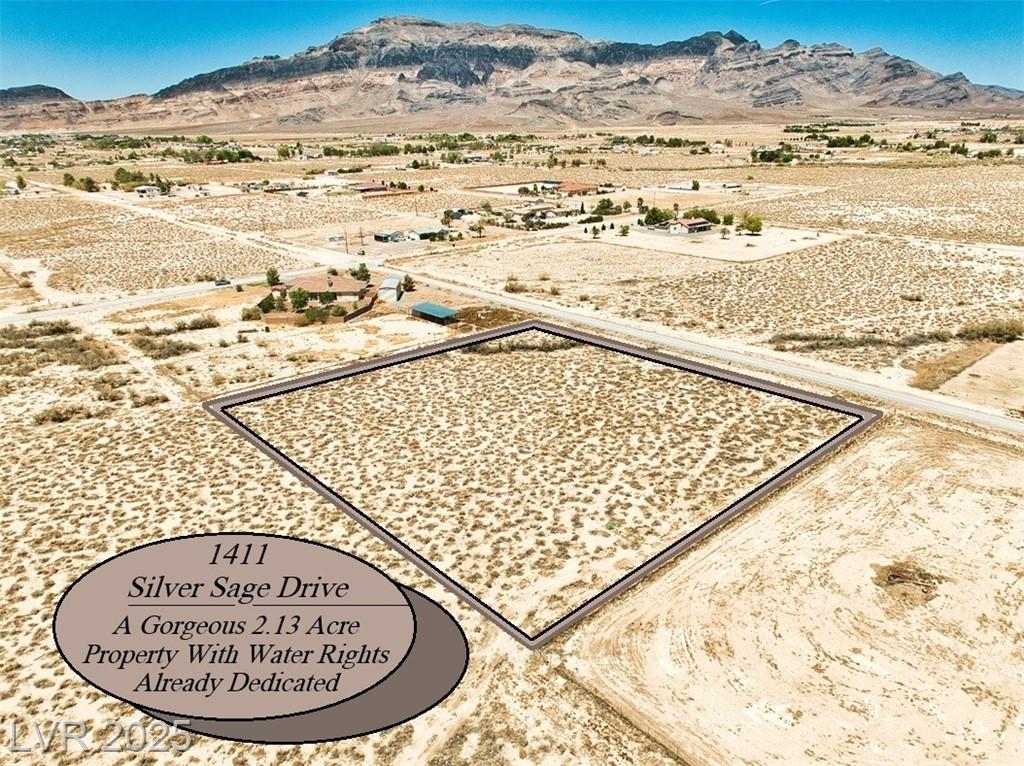 1411 Silver Sage DR