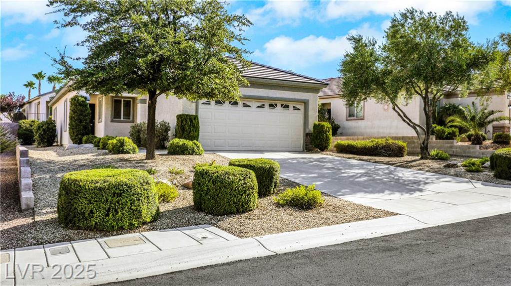 2362 Amana DR